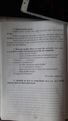 ex. aplicative -lb.romana 24.03..jpg