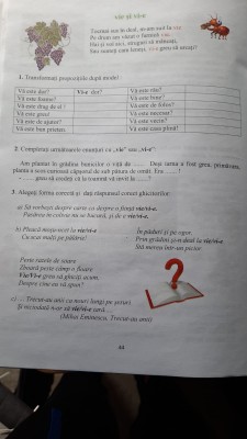 limba romana 22.03..jpg